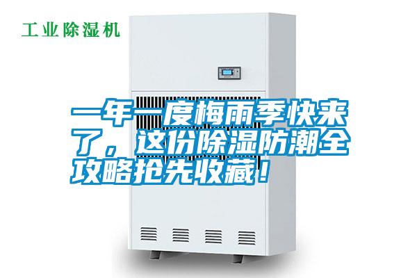 一年一度梅雨季快來了，這份除濕防潮全攻略搶先收藏！