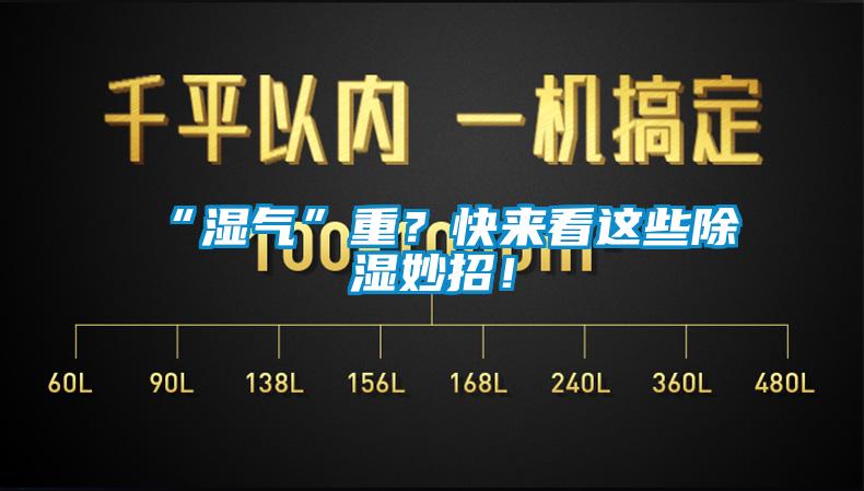 “濕氣”重？快來(lái)看這些除濕妙招！