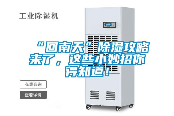 “回南天”除濕攻略來了，這些小妙招你得知道！