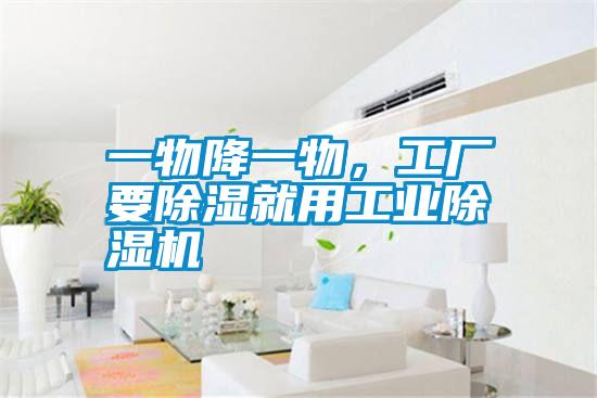 一物降一物，工廠要除濕就用工業(yè)除濕機(jī)