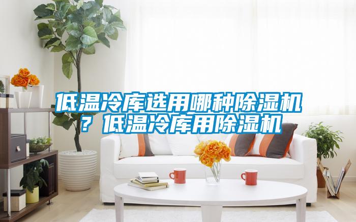 低溫冷庫選用哪種除濕機？低溫冷庫用除濕機