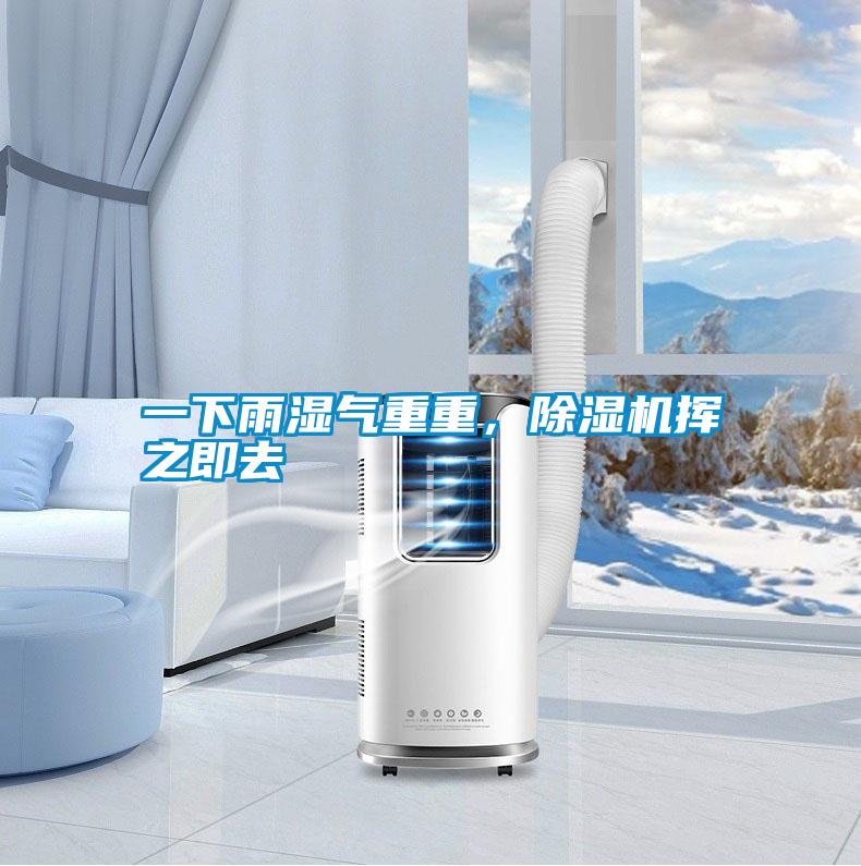 一下雨濕氣重重，除濕機(jī)揮之即去