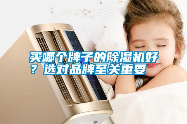 買哪個(gè)牌子的除濕機(jī)好？選對(duì)品牌至關(guān)重要