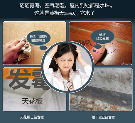 家庭別墅的地下室、衛生間、儲物室等該如何除濕？