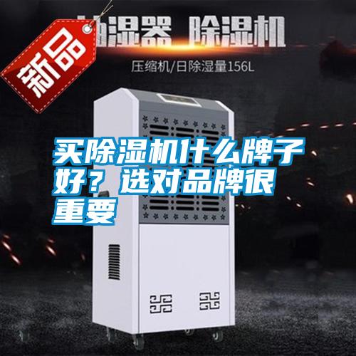 買(mǎi)除濕機(jī)什么牌子好？選對(duì)品牌很重要