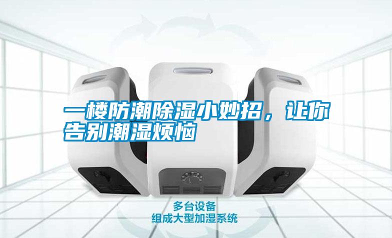一樓防潮除濕小妙招，讓你告別潮濕煩惱