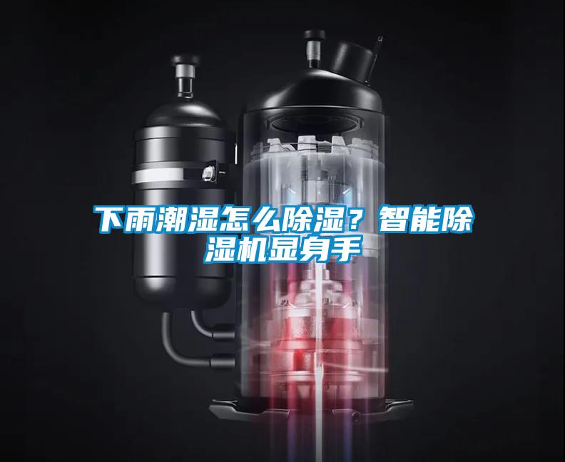 下雨潮濕怎么除濕？智能除濕機顯身手