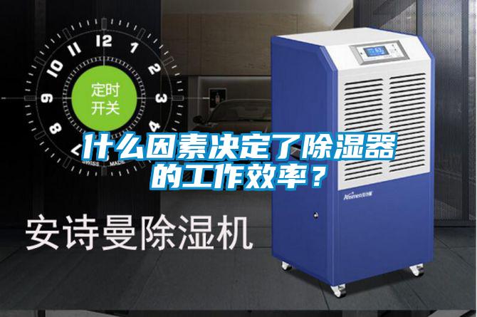 什么因素決定了除濕器的工作效率？