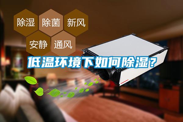 低溫環(huán)境下如何除濕？