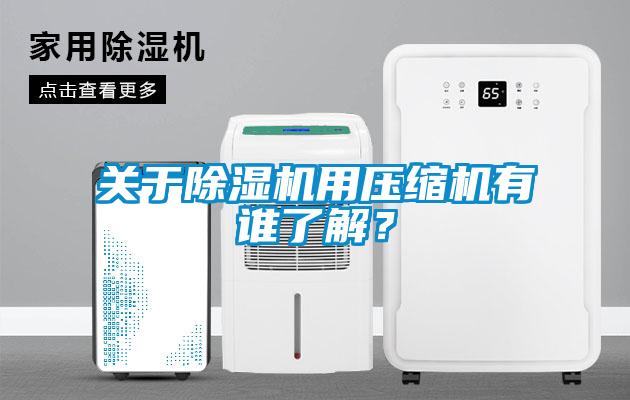 關(guān)于除濕機(jī)用壓縮機(jī)有誰(shuí)了解？