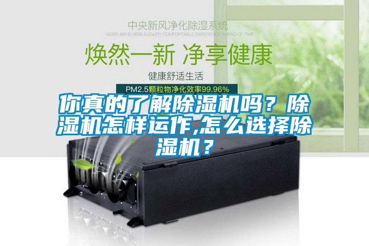 你真的了解除濕機(jī)嗎？除濕機(jī)怎樣運(yùn)作,怎么選擇除濕機(jī)？