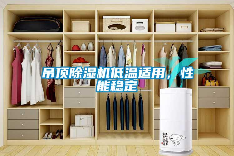 吊頂除濕機低溫適用，性能穩(wěn)定