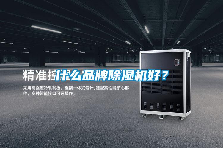 什么品牌除濕機好？