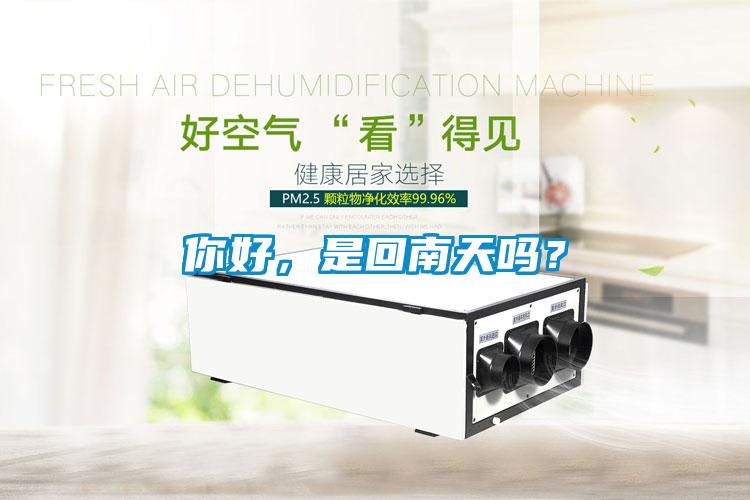 你好，是回南天嗎？