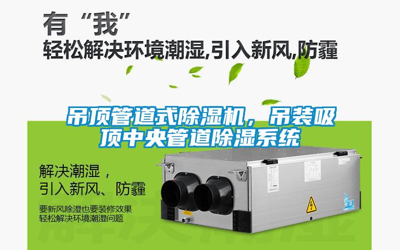 吊頂管道式除濕機(jī)，吊裝吸頂中央管道除濕系統(tǒng)