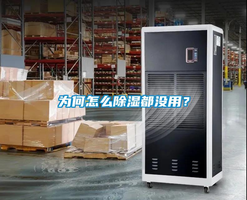 為何怎么除濕都沒用？