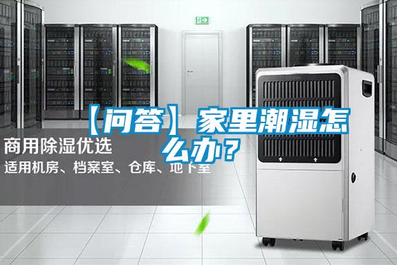 【問答】家里潮濕怎么辦？