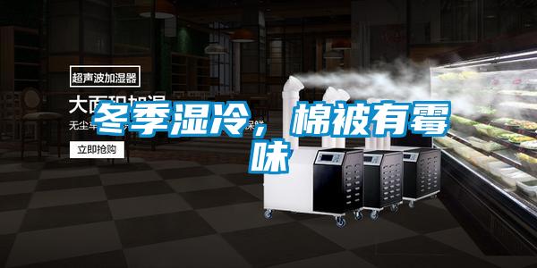 冬季濕冷，棉被有霉味