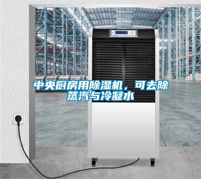 中央廚房用除濕機(jī)，可去除蒸汽與冷凝水