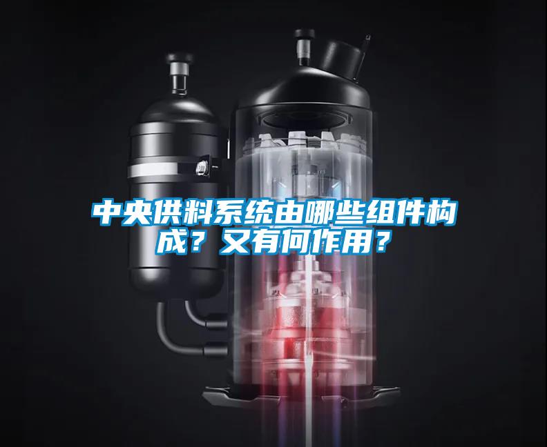 中央供料系統(tǒng)由哪些組件構(gòu)成？又有何作用？