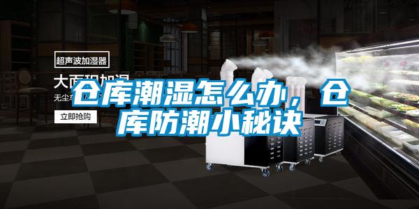 倉庫潮濕怎么辦，倉庫防潮小秘訣