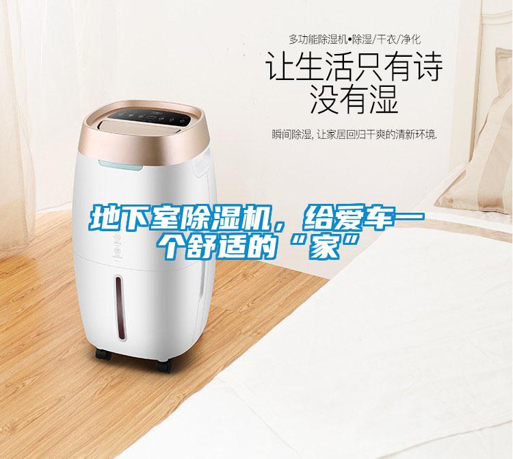 地下室除濕機，給愛車一個舒適的“家”