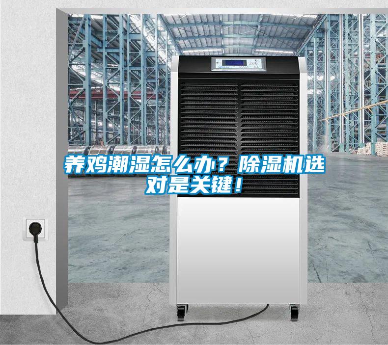 養(yǎng)雞潮濕怎么辦？除濕機(jī)選對(duì)是關(guān)鍵！