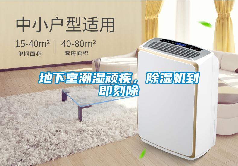 地下室潮濕頑疾，除濕機到即刻除