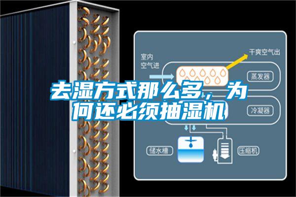 去濕方式那么多，為何還必須抽濕機(jī)