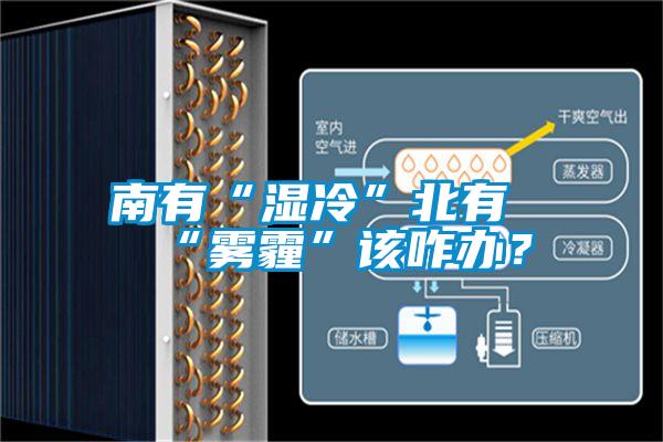 南有“濕冷”北有“霧霾”該咋辦？