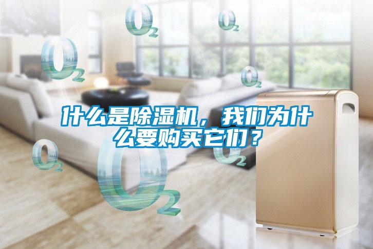什么是除濕機(jī)，我們?yōu)槭裁匆徺I它們？