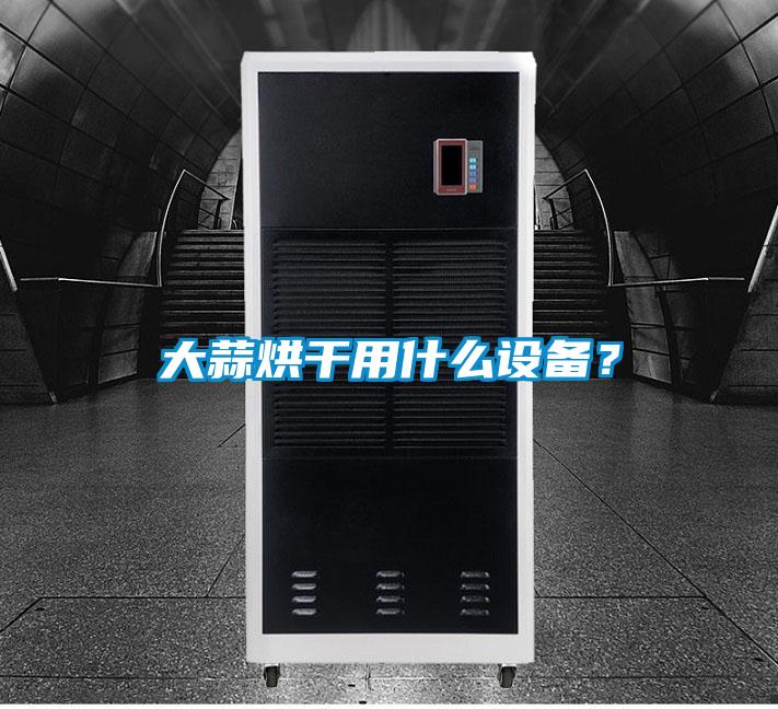 大蒜烘干用什么設(shè)備？