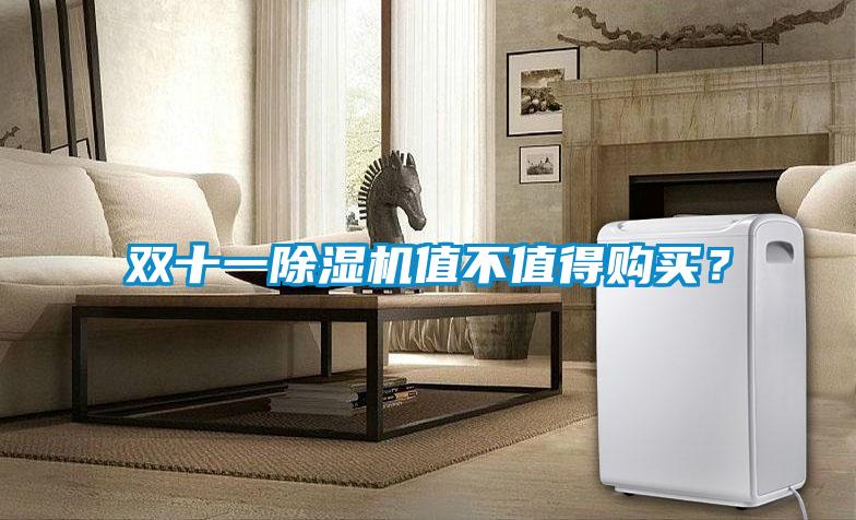 雙十一除濕機(jī)值不值得購(gòu)買(mǎi)？