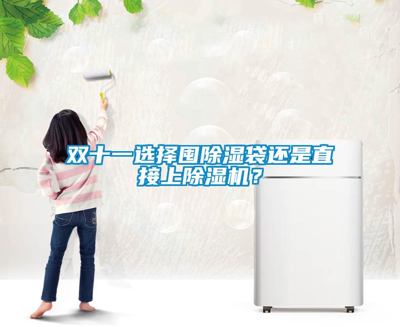 雙十一選擇囤除濕袋還是直接上除濕機？