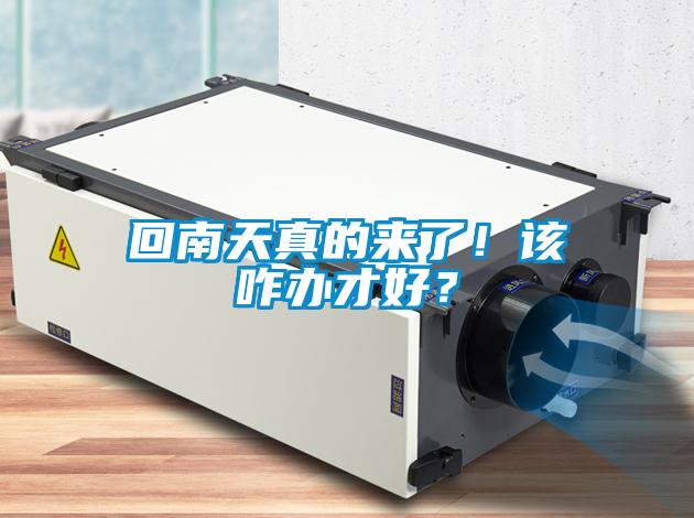 回南天真的來了！該咋辦才好？