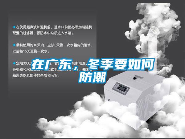 在廣東，冬季要如何防潮