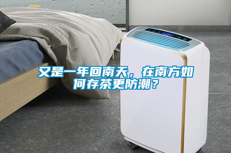 又是一年回南天，在南方如何存茶更防潮？