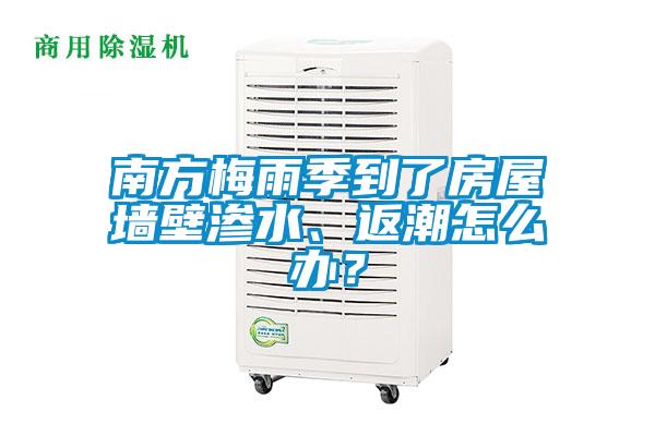 南方梅雨季到了房屋墻壁滲水、返潮怎么辦？