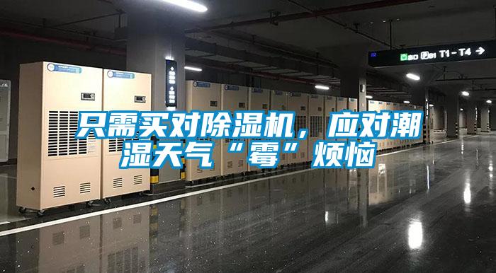 只需買對除濕機，應(yīng)對潮濕天氣“霉”煩惱