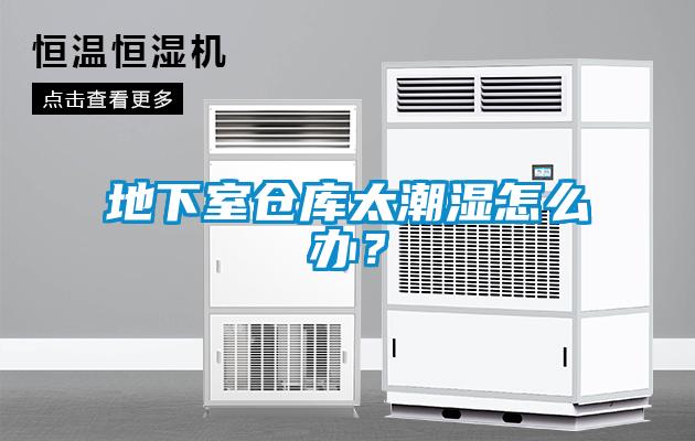 地下室倉(cāng)庫(kù)太潮濕怎么辦？