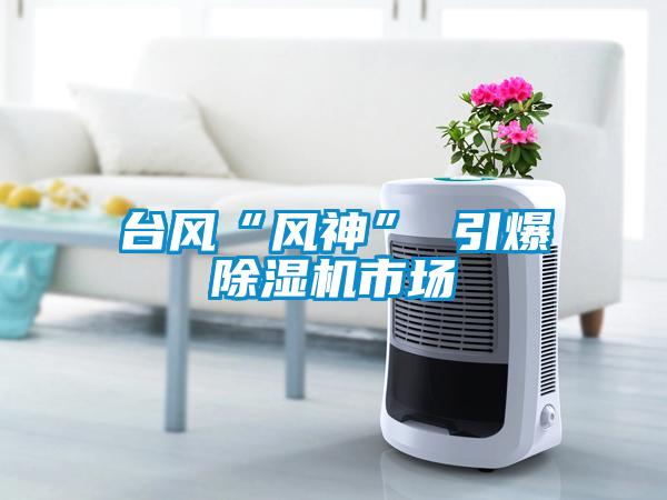 臺風(fēng)“風(fēng)神” 引爆除濕機市場