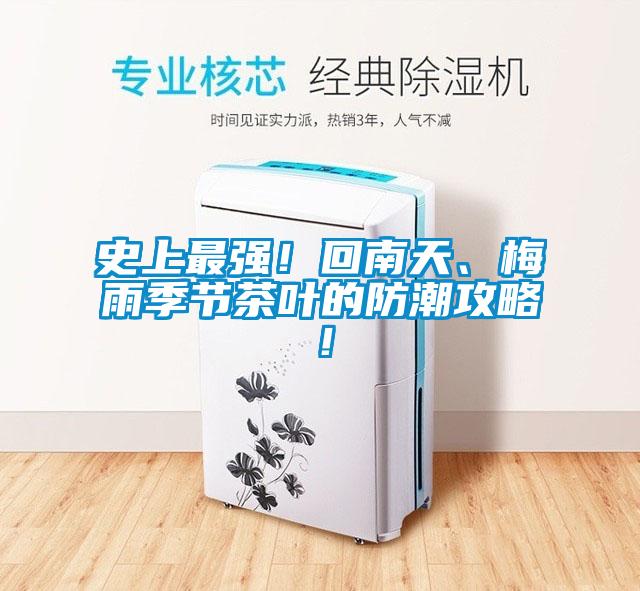 史上最強！回南天、梅雨季節茶葉的防潮攻略！