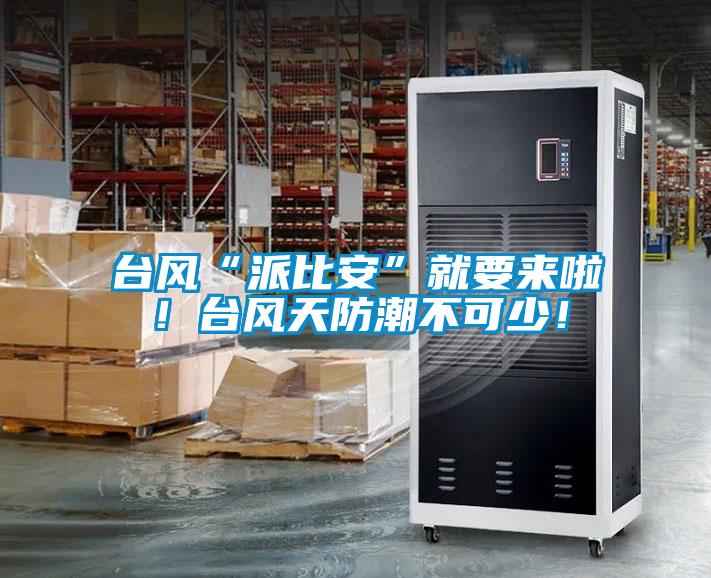 臺風(fēng)“派比安”就要來啦！臺風(fēng)天防潮不可少！