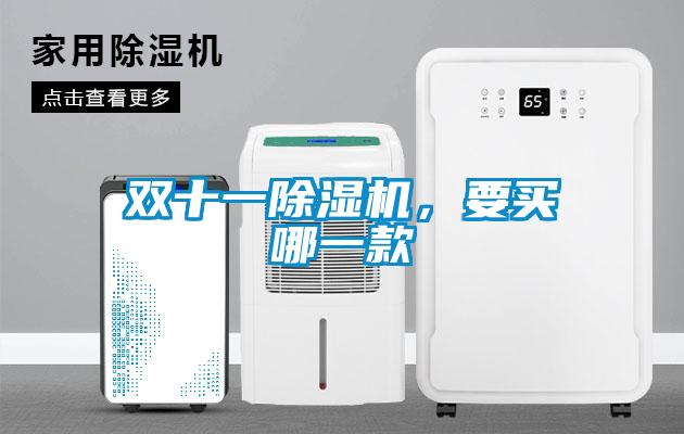 雙十一除濕機(jī)，要買哪一款