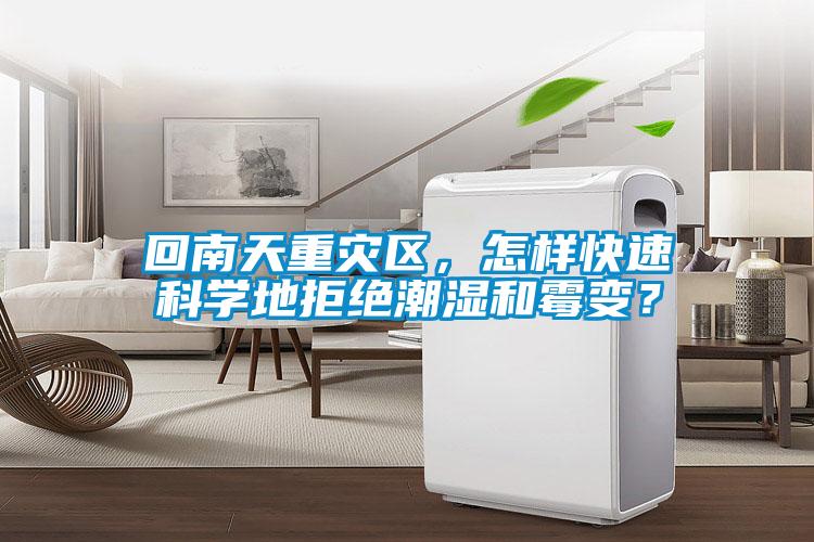 回南天重災(zāi)區(qū)，怎樣快速科學(xué)地拒絕潮濕和霉變？