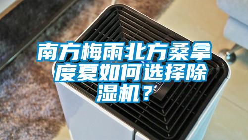 南方梅雨北方桑拿 度夏如何選擇除濕機(jī)？