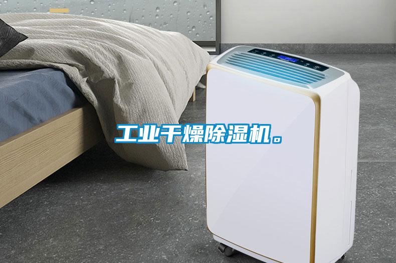 工業(yè)干燥除濕機(jī)。