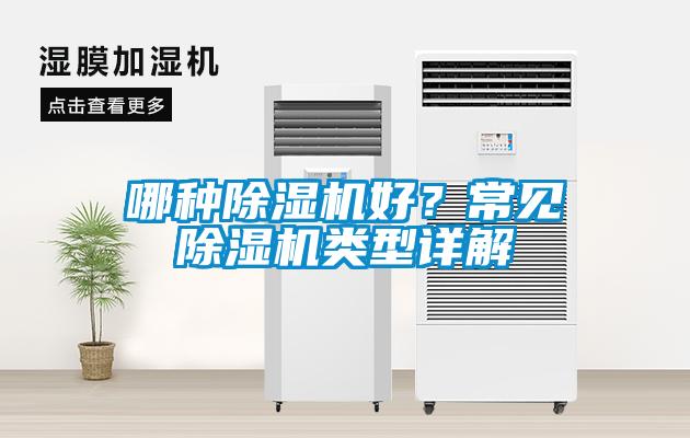哪種除濕機好？常見除濕機類型詳解