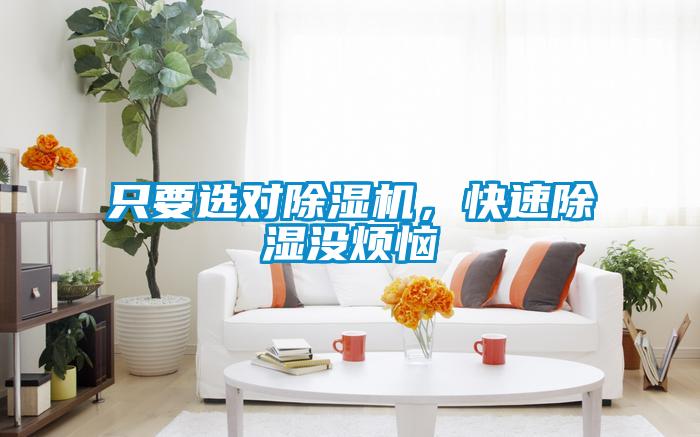 只要選對除濕機(jī)，快速除濕沒煩惱