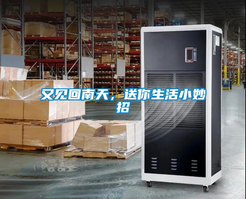 又見回南天，送你生活小妙招